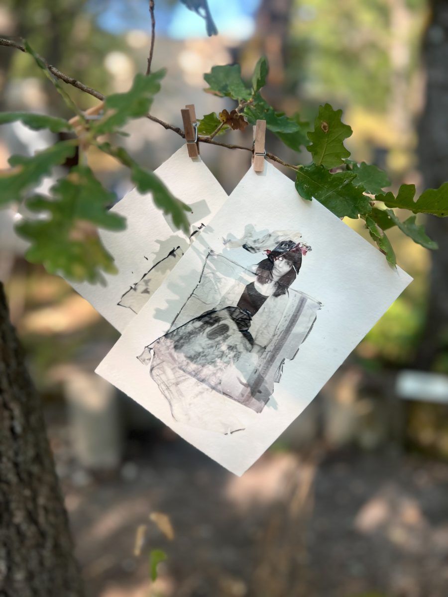 Alternative-photo-workhshops-2026-26