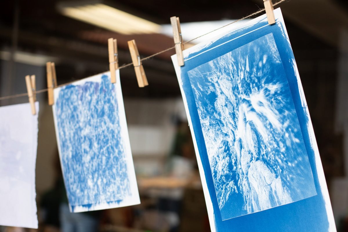 Fludo-Festival-Cyanotype-workshop-5