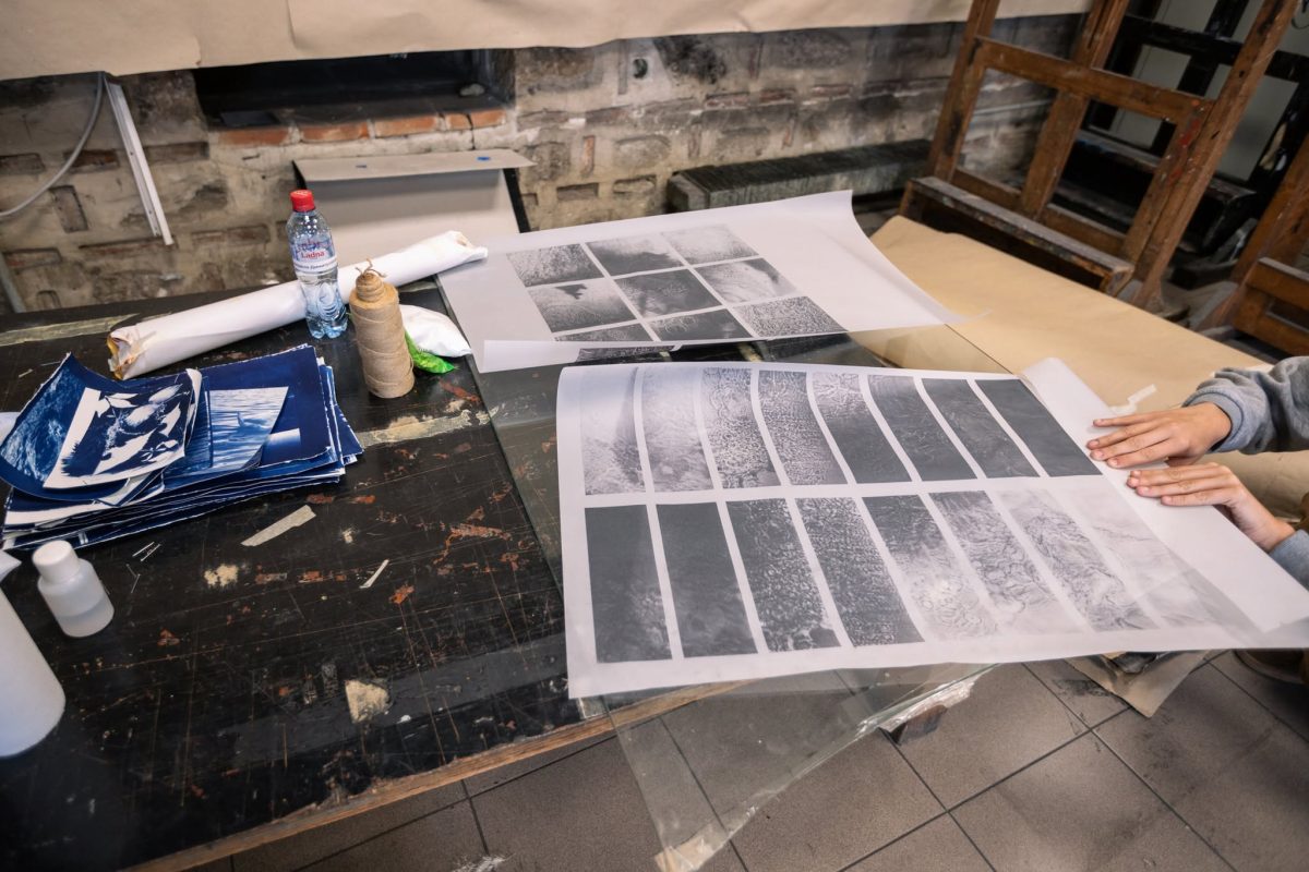 Fludo-Festival-Cyanotype-workshop-6