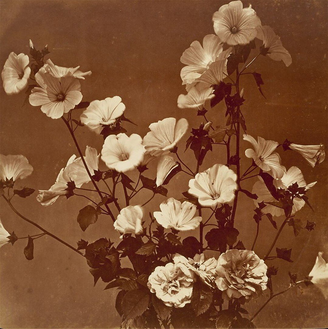 Simona Prosheva (MK) (1)